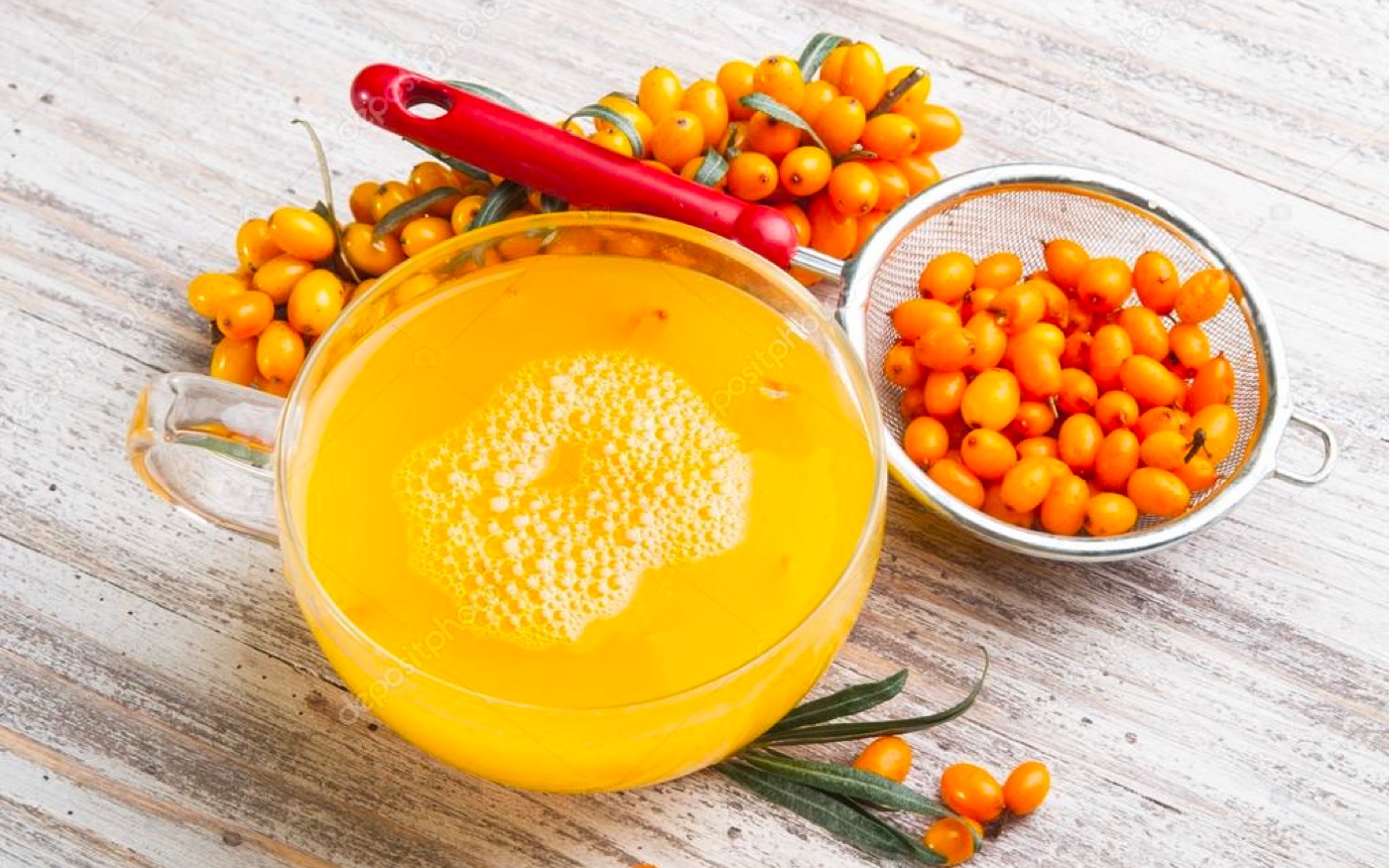 Catina-unul-dintre-cei-mai-puternici-antioxidanti-naturali.jpg